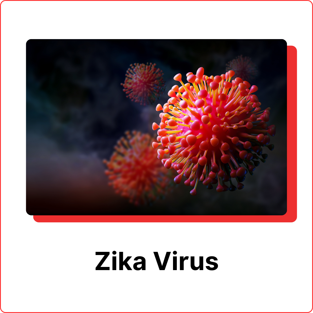 subterranean-termites-10